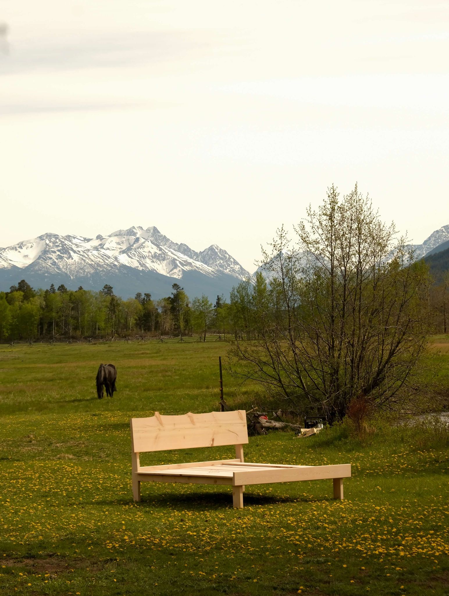 Homathko live edge solid wood bed frame handcrafted in BC
