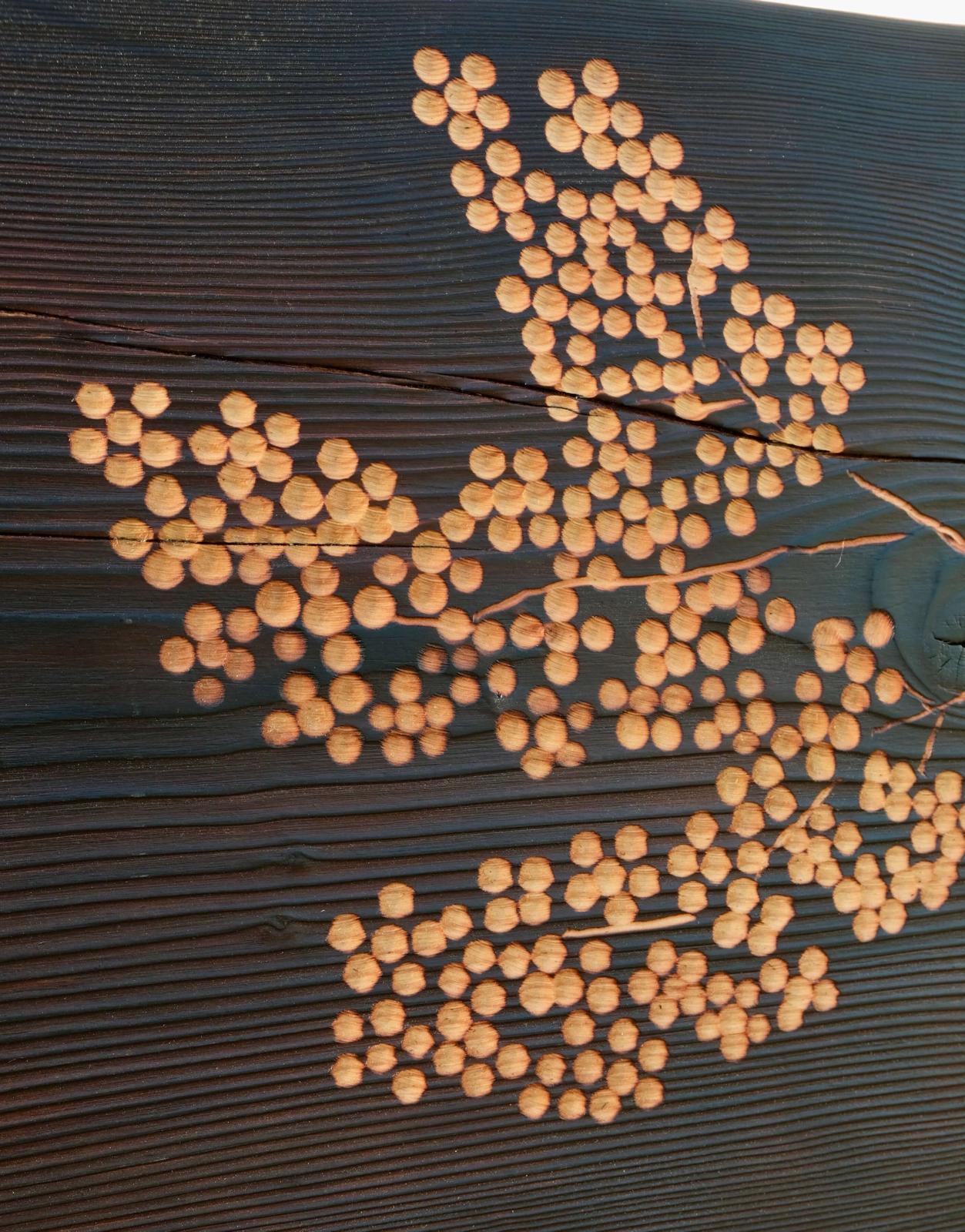 Close-up of hand-carved lilac blooms on a fire-charred Douglas fir bed frame